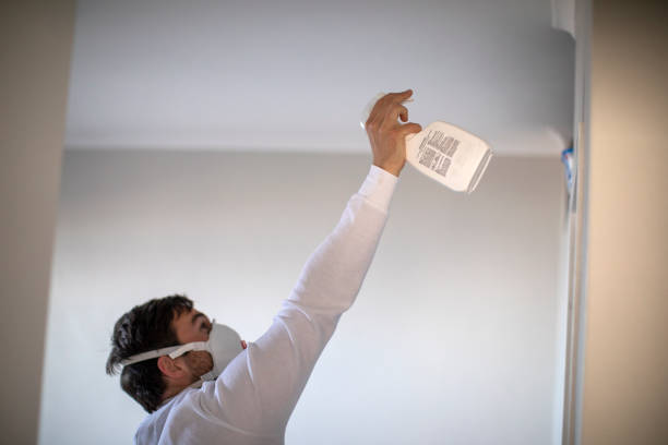Best Mold Remediation Services  in West Athens, CA