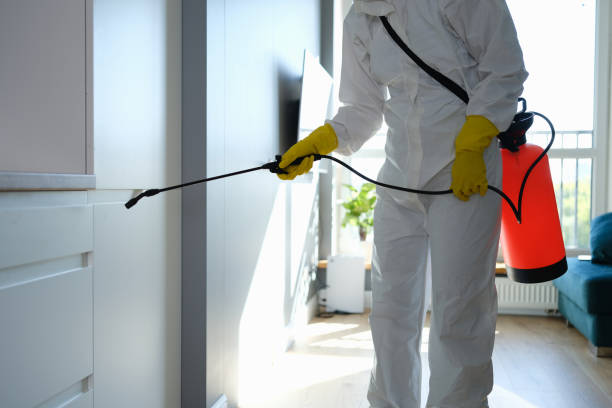 Best Office Mold Removal Services  in West Athens, CA